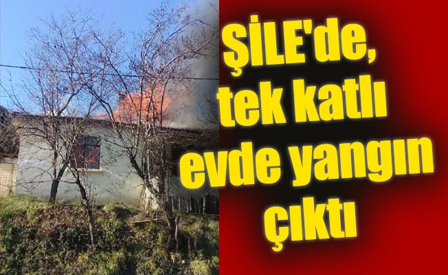 ŞİLE'de, tek katlı evde yangın çıktı