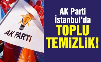 AK Parti İstanbul'da toplu temizlik!