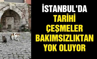 İstanbul'da tarihi çeşmeler bakımsızlıktan yok oluyor