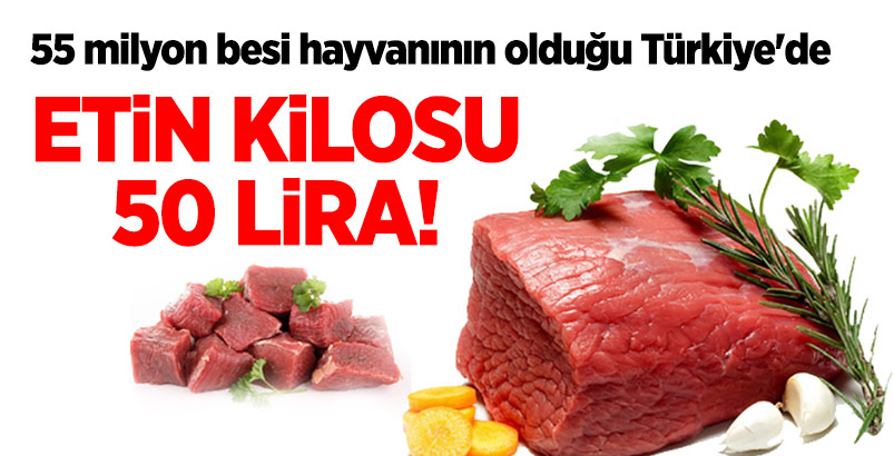 55 milyon besi hayvanının olduğu Türkiye'de etin kilosu 50 lira!