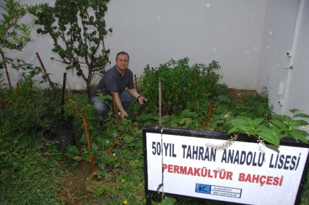 Kadıköy’de Okul Bahçelerinde Hasat