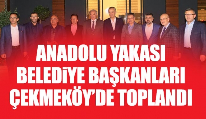 Anadolu Yakası belediye Başkanları Çekmeköy’de toplandı