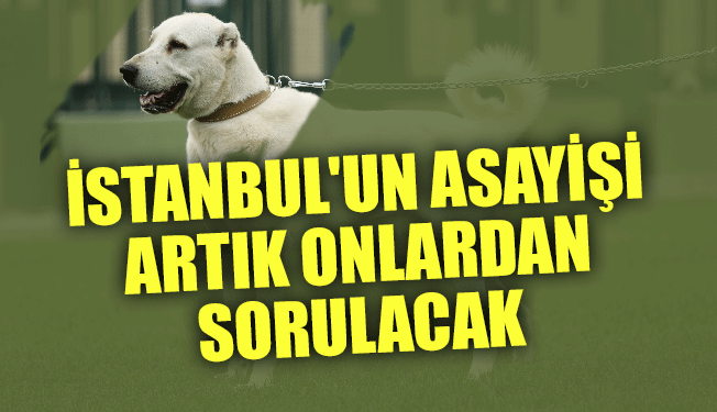 İstanbul'un asayişi Artık Onlardan Sorulacak