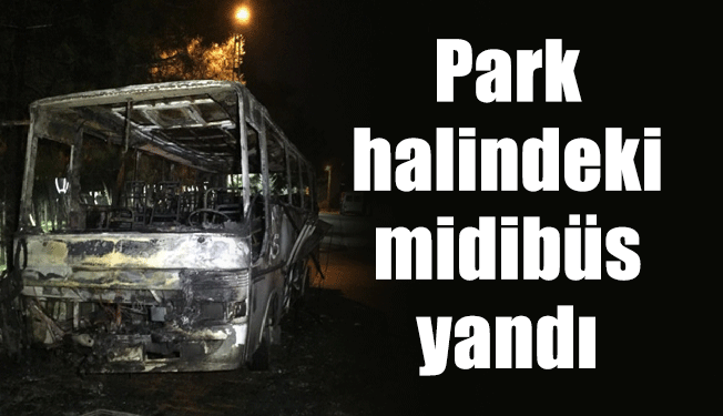 Park halindeki midibüs yandı