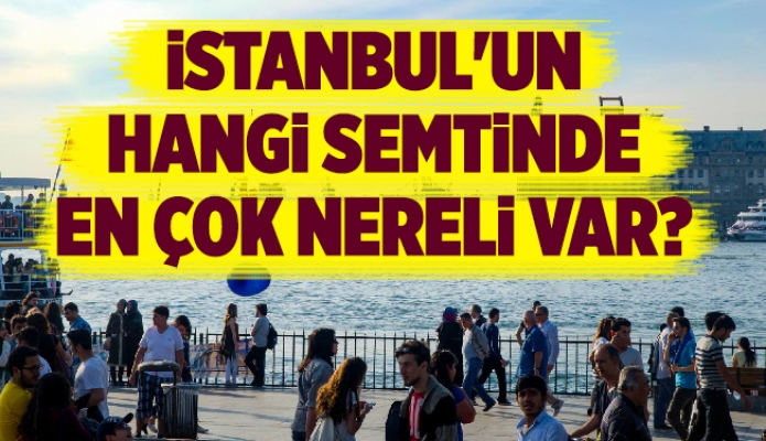 İstanbul'un hangi semtinde en çok nereli var?