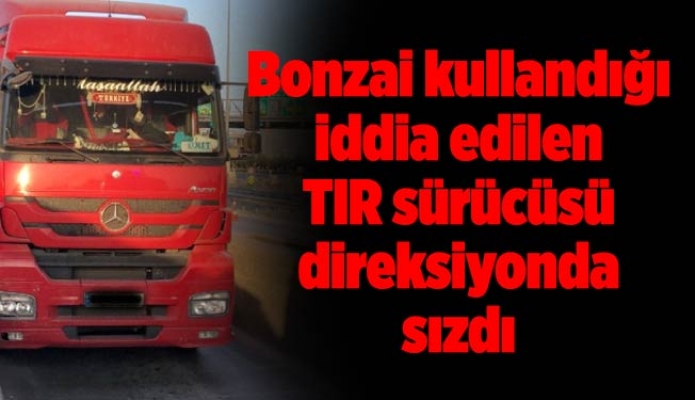 Bonzai kullandığı iddia edilen TIR sürücüsü direksiyonda sızdı