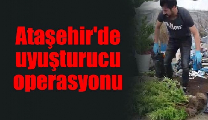 Ataşehir'de uyuşturucu operasyonu