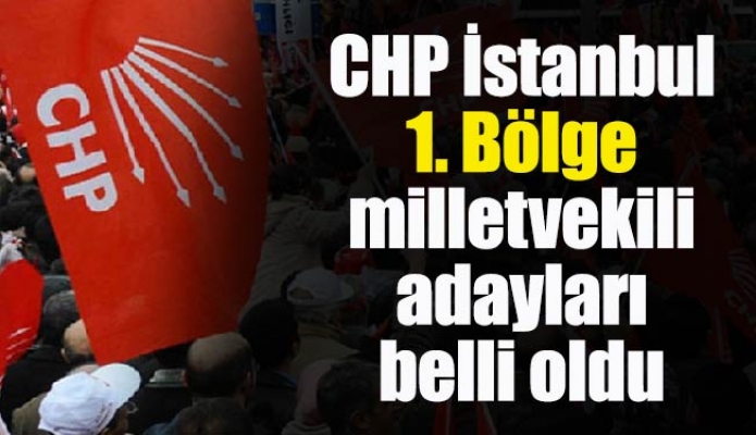 CHP İstanbul 1. Bölge Milletvekili Adayları Belli Oldu