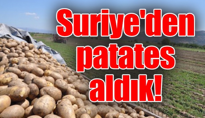 Suriye'den patates aldık !