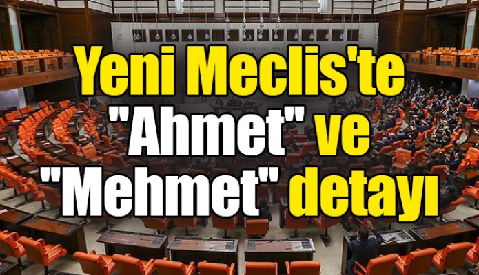 Yeni Meclis'te ''Ahmet'' ve ''Mehmet'' detayı
