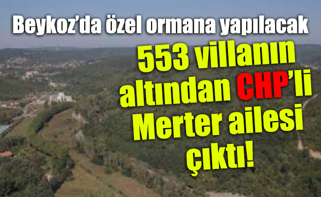 Beykoz’da özel ormana yapılacak 553 villanın altından CHP’li Merter ailesi çıktı!