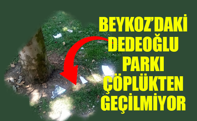 Beykoz’daki Dedeoğlu Parkı çöplükten geçilmiyor