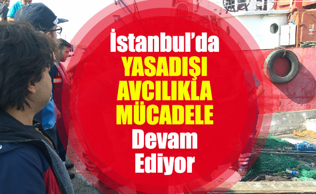 İstanbul’da Yasadışı Avcılıkla Mücadele Devam Ediyor