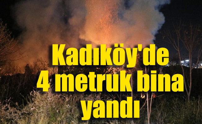 Kadıköy'de 4 metruk bina yandı