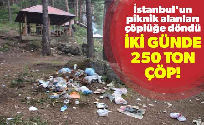İstanbul'un piknik alanları çöplüğe döndü. İki günde 250 ton çöp!