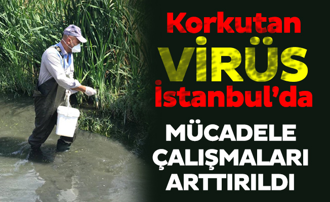 Korkutan Virüs İstanbul’da