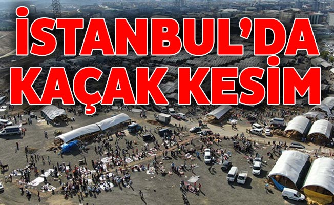 İstanbul’da Kaçak kesim