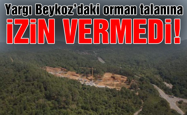 Yargı Beykoz’daki orman talanına izin vermedi!