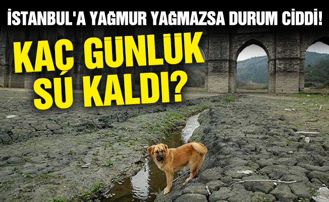 İstanbul'a yağmur yağmazsa durum ciddi! Kaç günlük su kaldı?