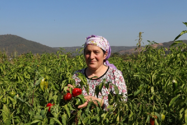 Kent Tarımı Kadın Çiftçilerle Kalkınıyor