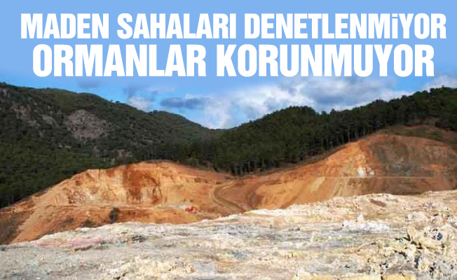 Maden sahaları denetlenmiyor, ormanlar korunmuyor