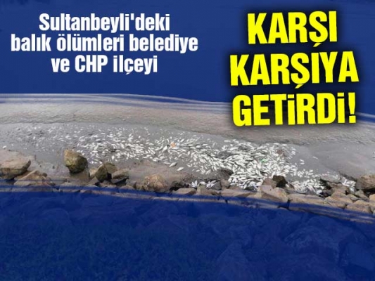 Sultanbeyli'deki balık ölümleri belediye ve CHP ilçeyi karşı karşıya getirdi!