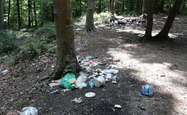 Piknikçiler ormanı çöplüğü çevirdi