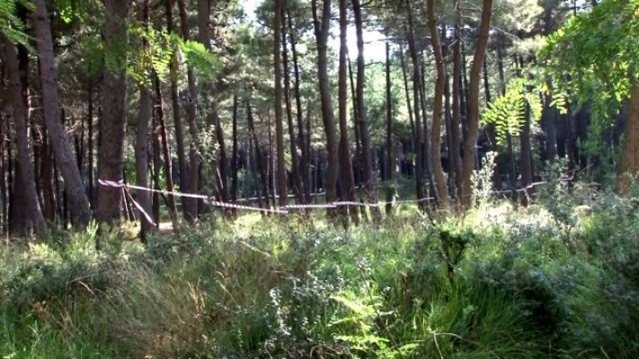 İstanbul'da Ormanlık Alanlarda Şeritli Önlem