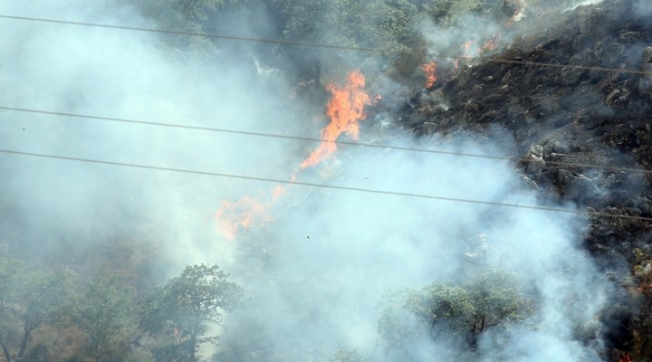 Beykoz'da Orman Yangını Kontrol Altına Alındı
