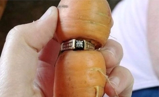 13 yıldır kayıp olan evlilik yüzüğünü havuca takılı halde buldu.