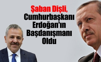 Dişli, Cumhurbaşkanı Erdoğan'ın Başdanışmanı Oldu