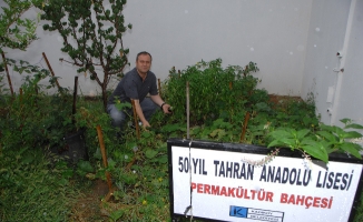 Kadıköy’de Okul Bahçelerinde Hasat