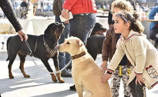 “İyi ki Üsküdar Var!” markası sokak hayvanları için festival düzenledi